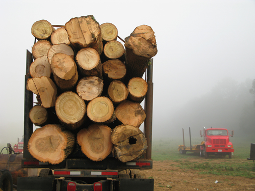 Beaofort log home and deck protection sercvices