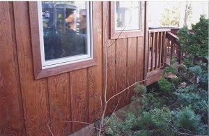 log home restoration beaufort